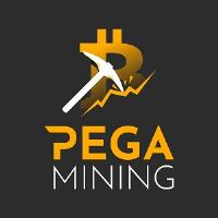 PEGA Mining Ltd image 1
